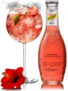 Schweppes Premium Mixer Tonic Hibiscus 20cl.