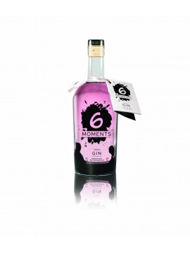 6 Moments Gin 50cl. 40°