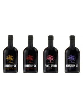Forest Dry Gin Winter 45° 50cl.